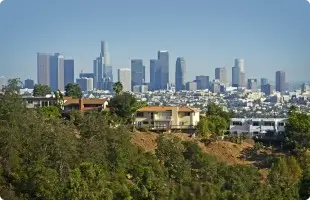 The City of Los Angeles view